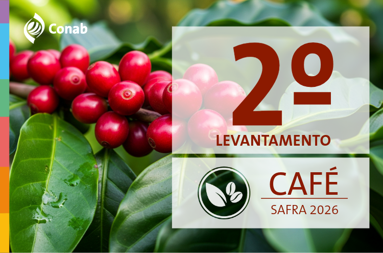 Produção de café deve ter alta de 18% e bater recorde na safra 2026